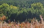 Tatry jesienią 2025
