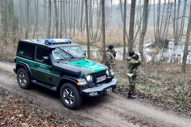 Jeepy Wrangler Sahara dla Straży Granicznej. Te samochody nie boją się bezdroży