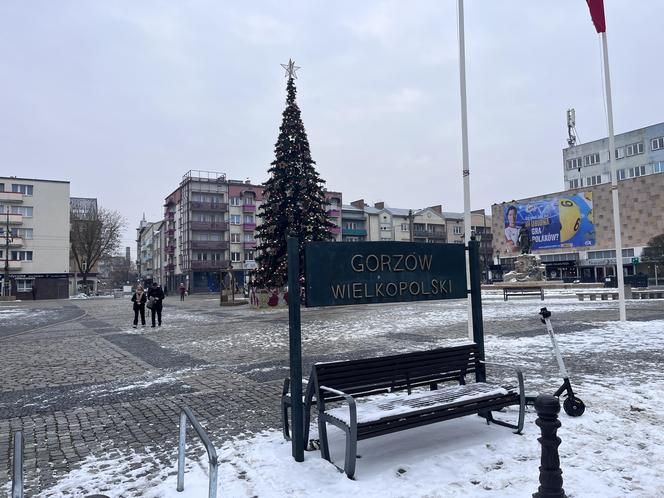 W centrum Gorzowa stanęła choinka! Jak wygląda?