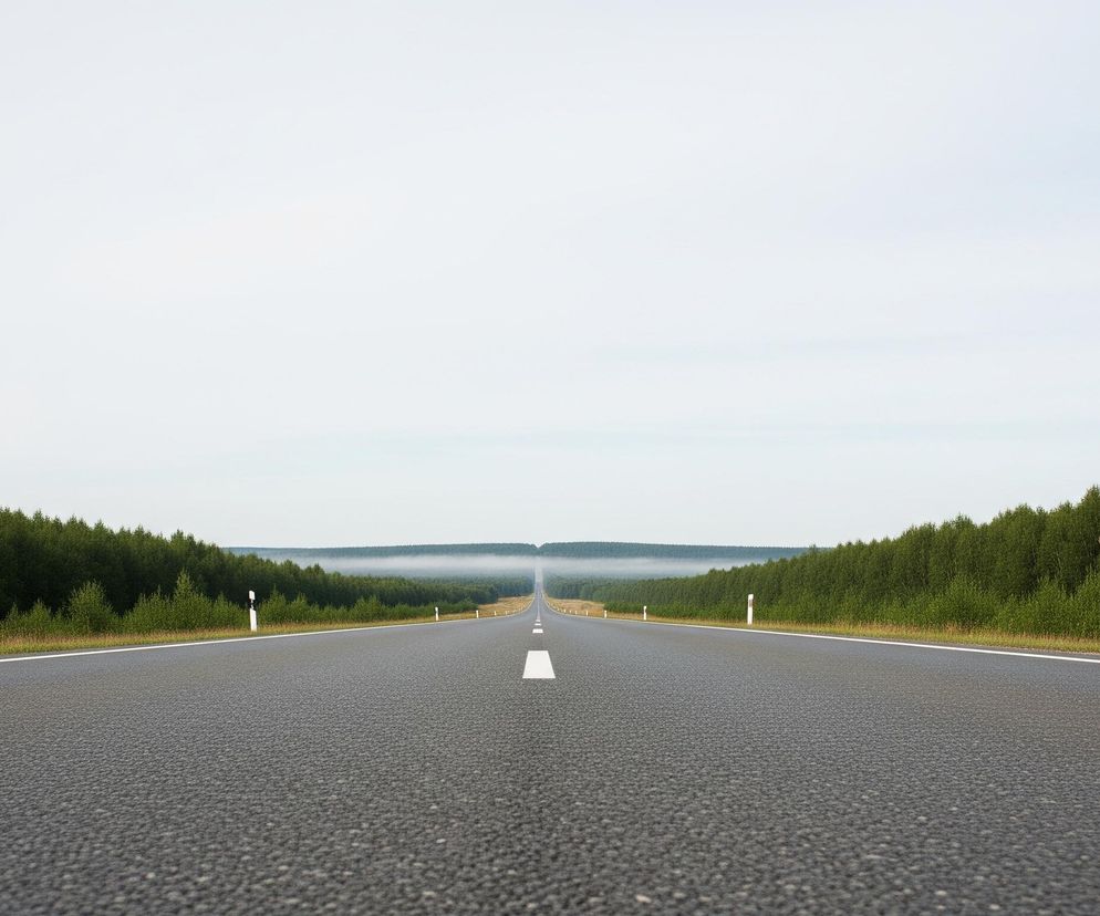 Asfaltowa droga biegnie prosto przez środek kadru, z dalekim horyzontem znikającym w lekkiej mgle. Po obu stronach drogi rozciągają się gęste, zielone lasy, tworząc ciemną linię drzew. Białe, przerywane linie wyznaczają środek jezdni, a ciągłe białe linie ograniczają pobocze. Kilka białych słupków drogowych jest widocznych wzdłuż drogi, zwłaszcza po lewej stronie. Niebo jest jasne i jednolite, o szarobiałym odcieniu.