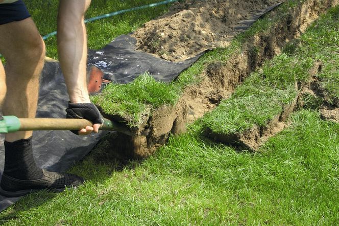 Ból pleców po pracy w ogrodzie? Ten błąd popełniamy jeszcze przed chwyceniem za łopatę