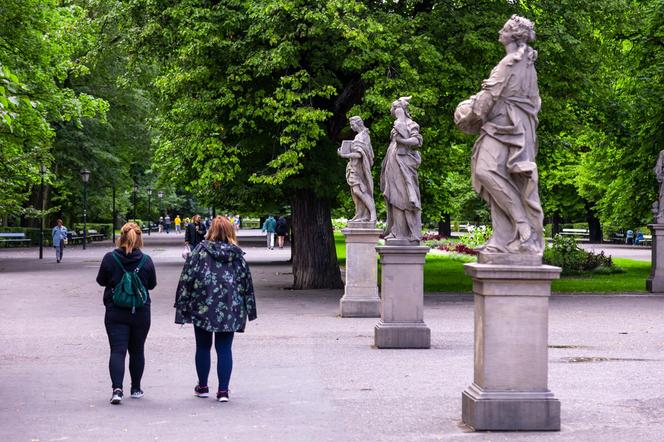 Ogród Saski w Warszawie – alejka z rzeźbami