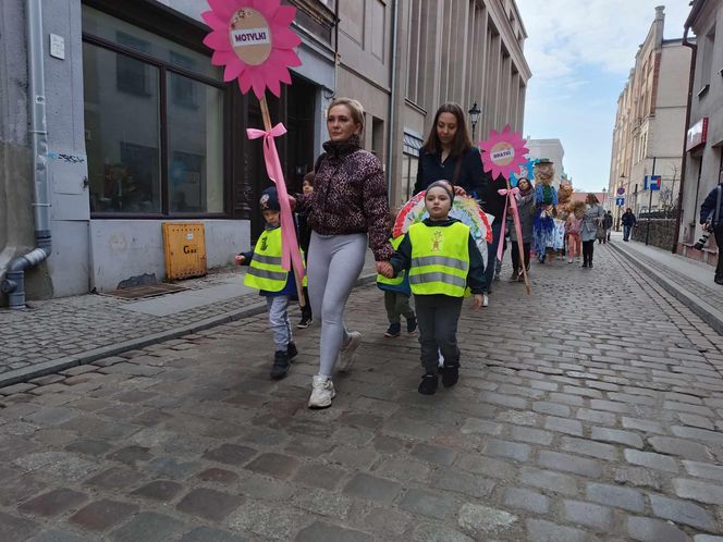 Przemarsz przedszkolaków z marzannami ulicami Grudziądza