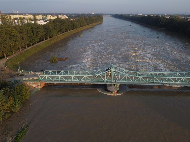 Powódź we Wrocławiu. Tak wygląda Odra w czwartek 19.09.2024 