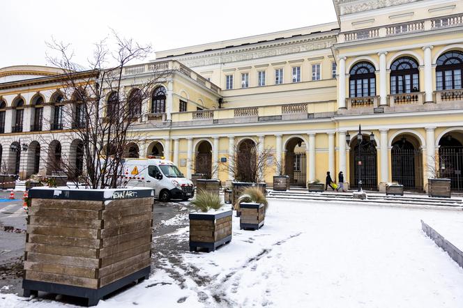 Nowe drzewa i krzewy na placu Bankowym w Warszawie