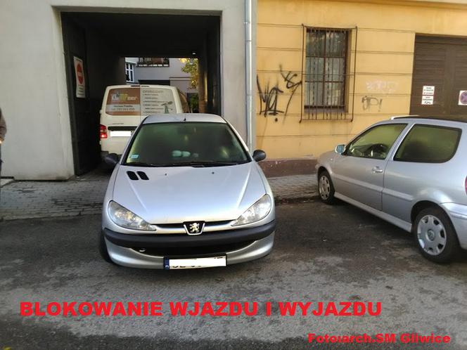 Miszczowie parkowania. Tak się to robi w Gliwicach