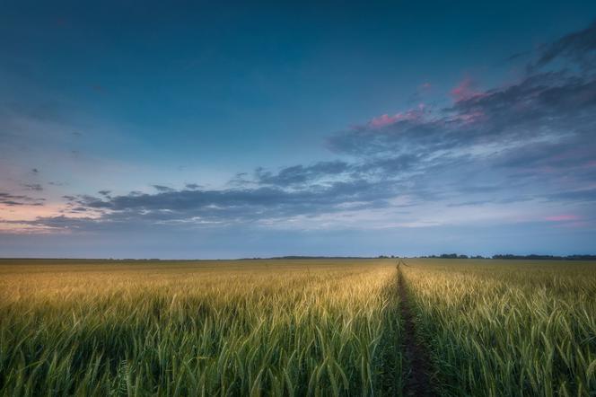 Czy to bajka? Nie, to fantastyczne ujęcia z Podlasia!