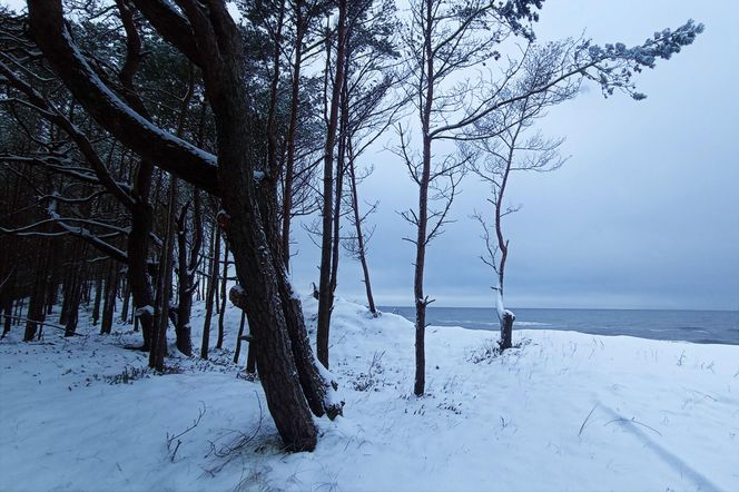 Zima nad Bałtykiem