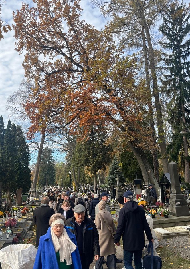 Cmentarz przy ul. Lipowej w Lublinie