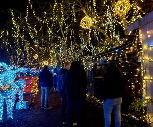 Najbardziej oświetlony dom w Polsce jest w Bydgoszczy. Za tymi świątecznymi lampkami stoi wzruszająca historia