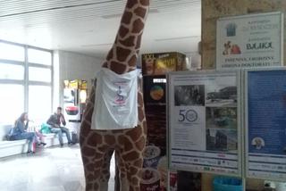 Protest rezydentów w Krakowie