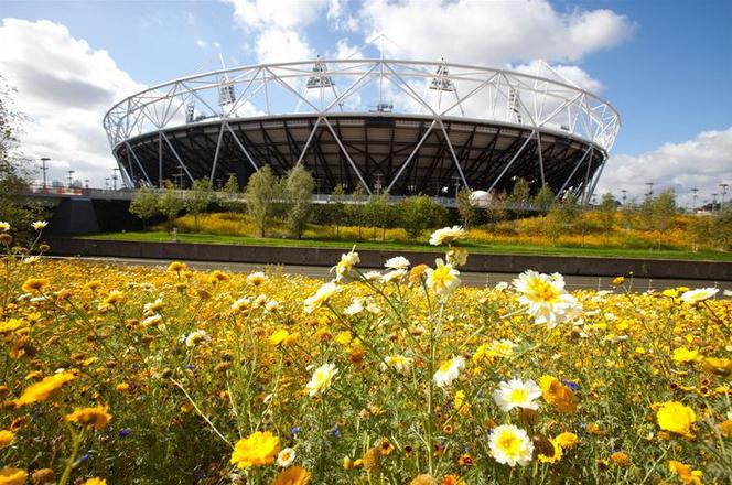 Obiekty sportowe - Igrzyska olimpijskie Londyn 2012