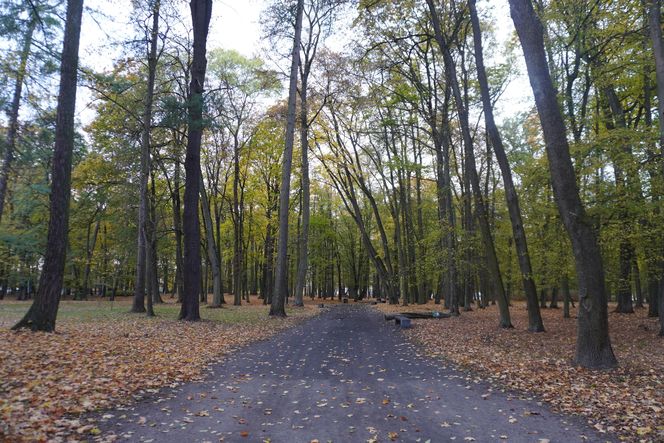 Park Lubomirskich w Białymstoku jesienią 