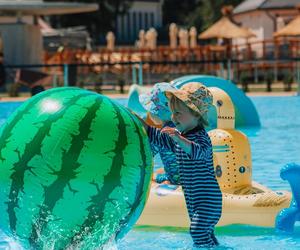 Julinek Park. Długi Bajkowy Dzień Dziecka na Mazowszu, moc atrakcji pod gołym niebem!