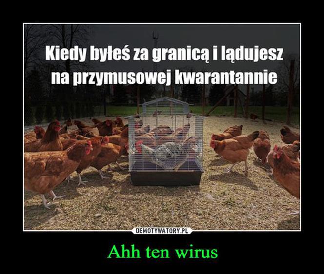 Memy o koronawirusie