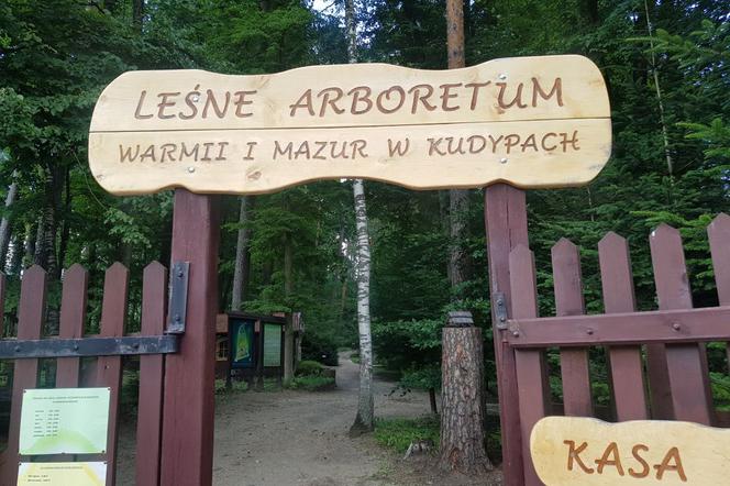 Leśne Arboretum Warmii i Mazur w Kudypach