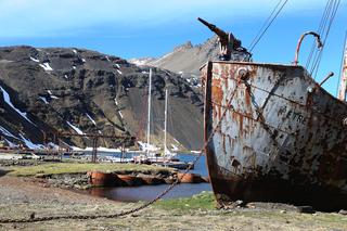 Grytviken - pozostałości po wielorybnikach
