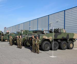 KTO Rosomak i MRAP Cougar na MSPO 2024