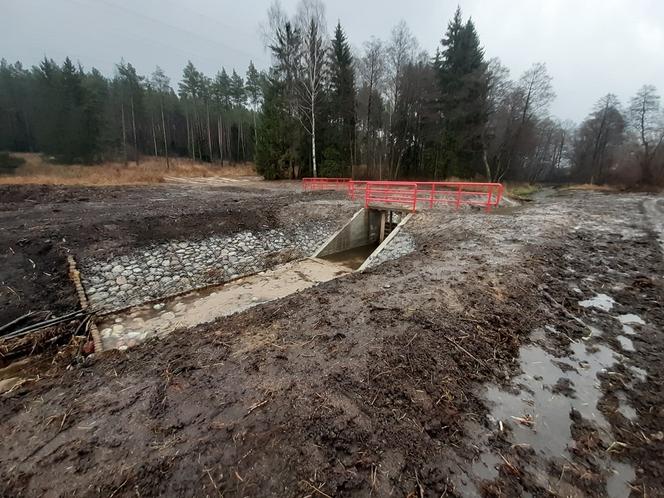 Na Warmii powstaje ptasie "El Dorado". Sztuczne wyspy przyciągną rybitwy [ZDJĘCIA]