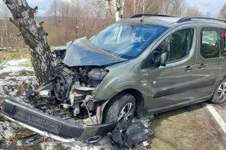 Zabłędza. Osobówka uderzyła w przydrożne drzewo na DW 977 