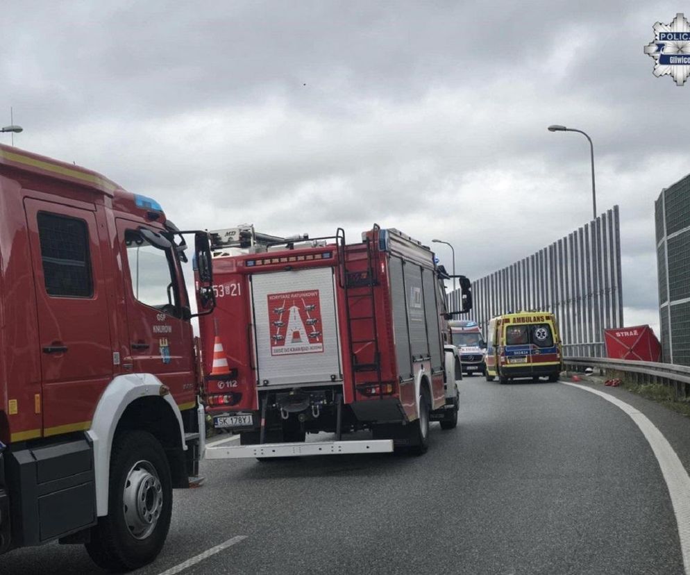 Mieli przed sobą całe życie, zginęli jadąc na imprezę motocyklową. Nie żyje dwoje nastolatków