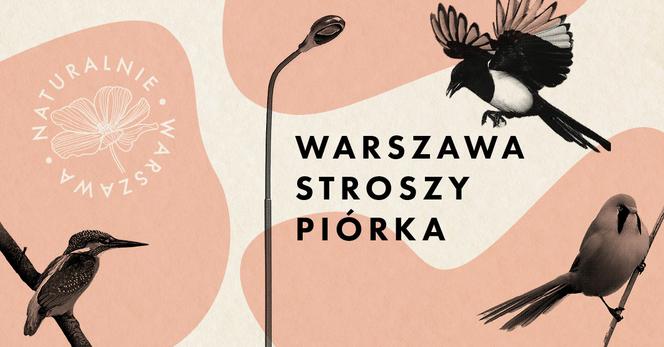 Naturalnie Warszawa – szlakiem ptasich migracji