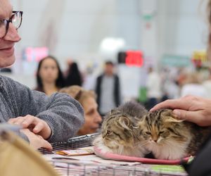 Tak wyglądał Zoopark 2024 w Lublinie! Zobacz zdjęcia