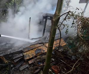 Burze i nawałnice przeszły nad Polską. Strażacy podali miażdżące dane