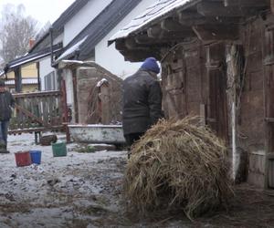 Rolnicy. Podlasie. Andrzej z Plutycz mocno pilnuje porządku. Bo siostra...