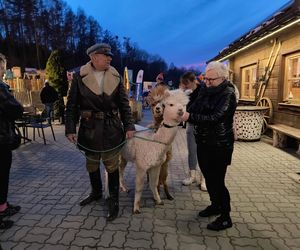 Zjazd na byle czym - Kielce Telegraf (15.03.2025)