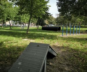 Wybieg dla psów przy Ćwiczni w Lesznie