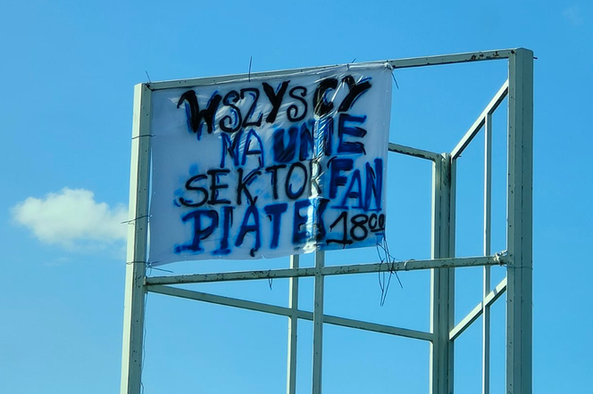 mobilizacja