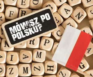 Quiz z trudnych polskich słów. Tylko wybitni i elokwentni Polacy wiedzą, o co chodzi. Za 7/10 dostajesz gromkie brawa