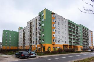 Pasteloza na warszawskich blokach - zobacz zdjęcia jaskrawych przykładów