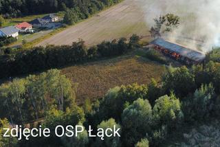 12-latek podpalił stadninę koni w Łącku? Ogromne straty. Strażacy walczyli z ogniem przez prawie 24 godziny [ZDJĘCIA]