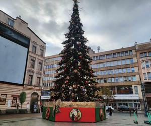 Łódź jest już gotowa na święta! Przy Piotrkowskiej stanęła wielka atrakcja [ZDJĘCIA]