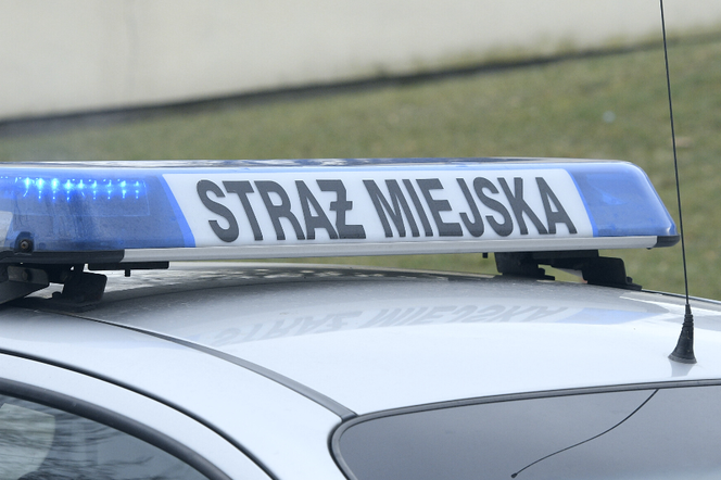 Straż Miejska w Gdyni zawiesza nocne patrole. Powodem brak chętnych do pracy