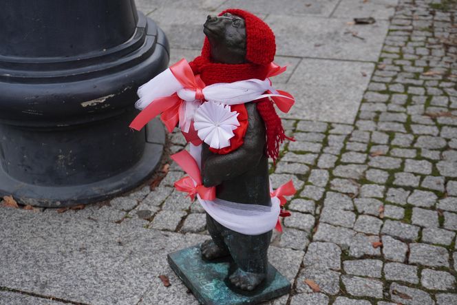 WidziMisie w Białymstoku gotowe na zimę