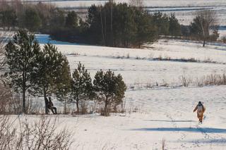 Goryl z kurczakiem przegnali myśliwych