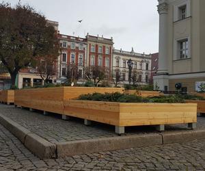 Na Rynku w Lesznie stanęły ogromne donice