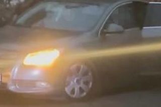 Przejechali mu psa oplem. Zabili moją Sunię