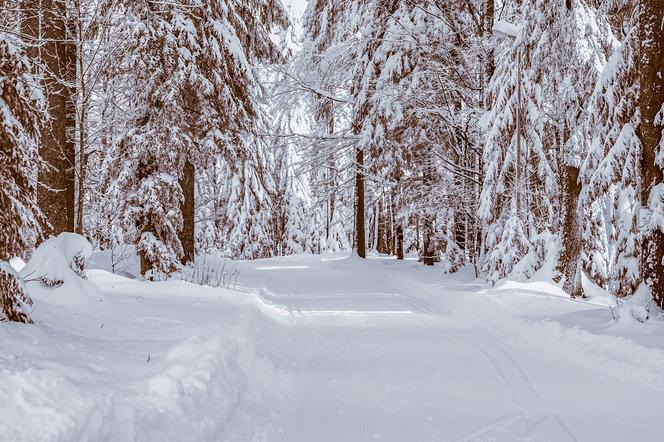 Podkarpackie. Alert przed silnym mrozem! Synoptycy IMGW ostrzegają