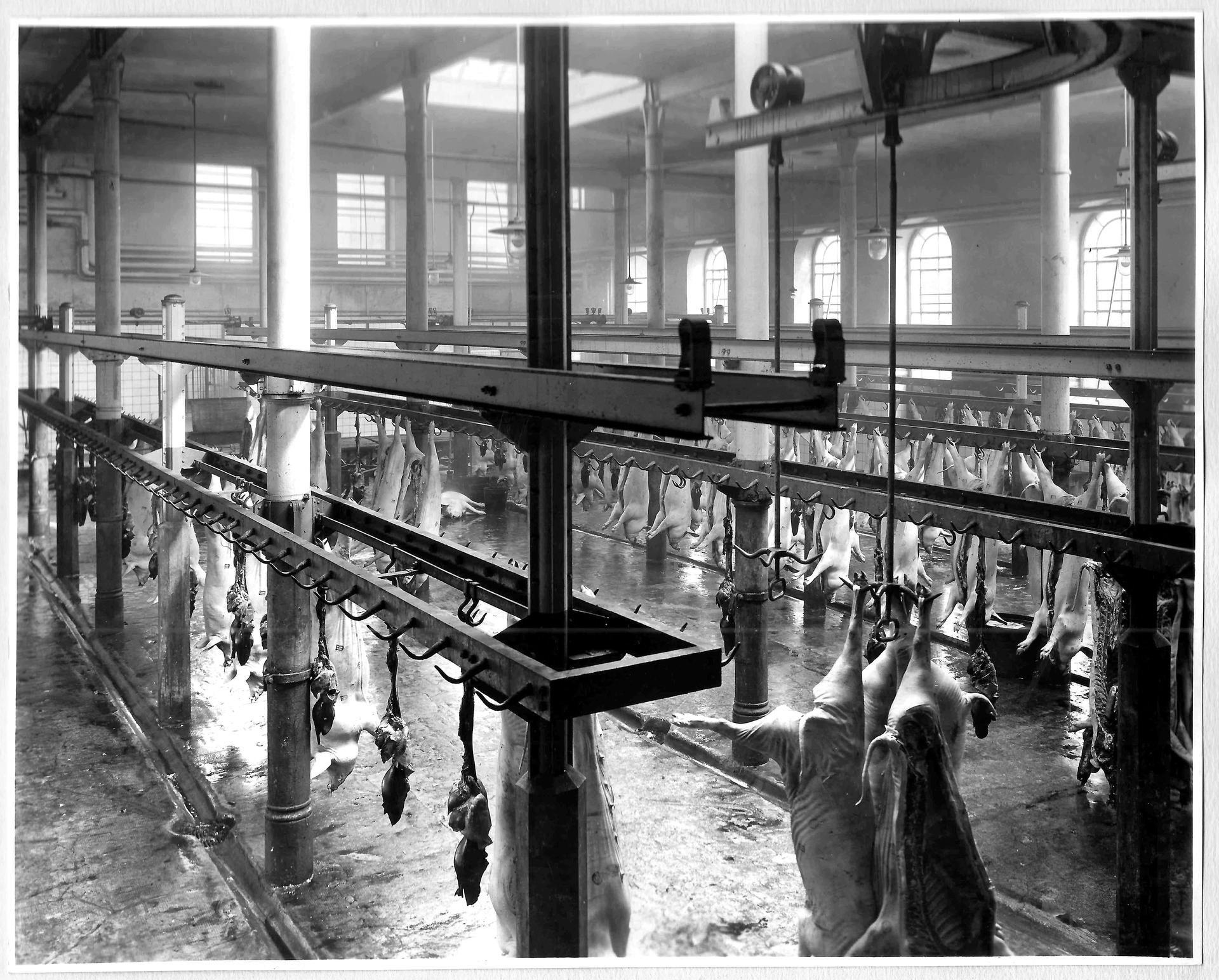 Galeria PLATO - archiwalne zdjęcia