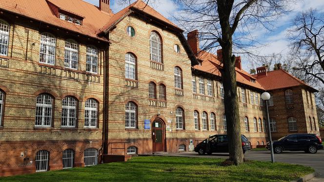 Tulipan prysnął z psychiatryka
