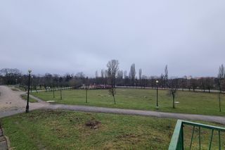 Park Kasprowicza. W tym miejscu powstanie nowa hala sportowa w Poznaniu?