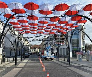 Na ulicę Kilińskiego powróciły parasolki, ale w innych kolorach 