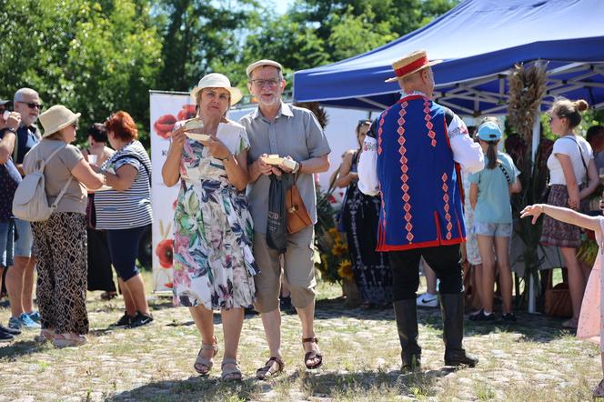 Jarmark miodowo-ziołowy w Muzeum Wsi Lubelskiej