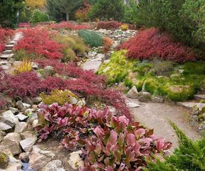 Arboretum w Rogowie