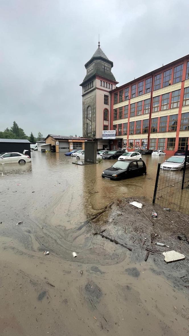 Bielsko-Biała: Dramat bohaterów "Kuchennych rewolucji". Nawet Magdę Gessler to poruszyło