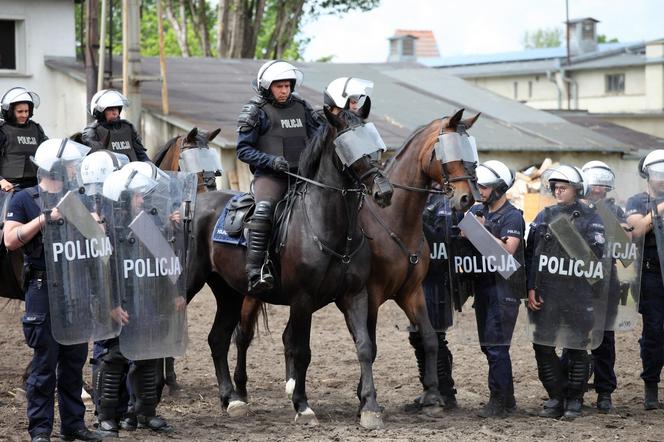 Policyjne konie – przetestowane i to z wynikiem pozytywnym!